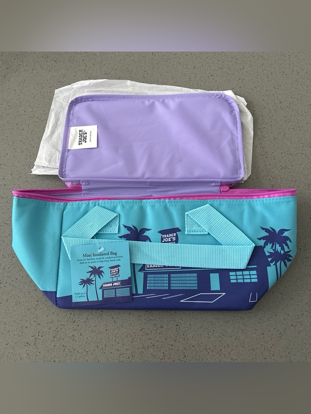 Trader Joe's Mini Insulated Tote Bag - Teal & Lavender